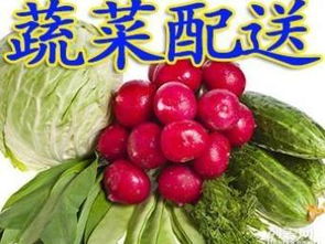 北京新發地批發市場 同城食堂農副產品食材專業配送服務